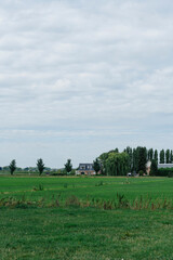 Expansive green field under a cloudy sky, houses and trees dot the horizon. Serene countryside vista.