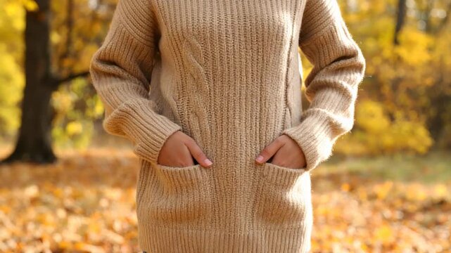 Beige cable knit sweater autumn park