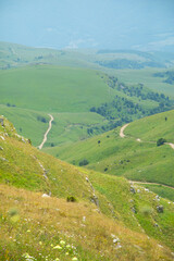 Ground road in nature. Armenia. Summer