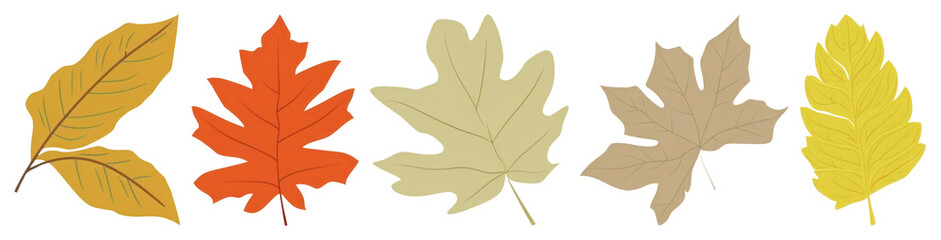 Fototapeta premium PNG Cherry leaf hunt illustration simple design transparent background.