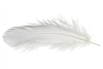 Fototapeta premium Floating Feather in a Snowy Landscape