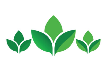 Obraz premium Three stylized green leaf icons on a clean white background