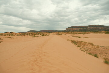 coral pink sand dunes state park in summer