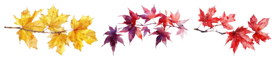 PNG Vibrant autumn leaves illustration, element set on transparent background