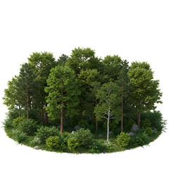 Obraz premium Realistic Isolated 3D Render of Lush Green Forest Trees with Transparent Background