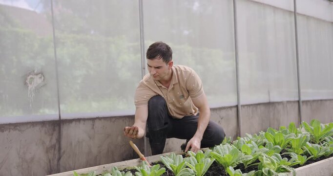 Adult male teacher engaging in practical farming education digging soil and planting vegetables inside greenhouse for agriculture class at school, promoting real-world organic farming skills - Powered by Adobe