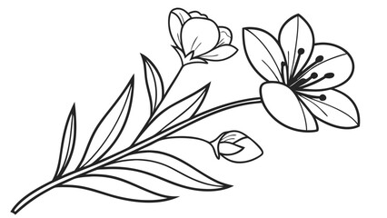Botanical Floral Line Art Illustration: Blooming Flowers, Bud, and Leaves Outline Drawing