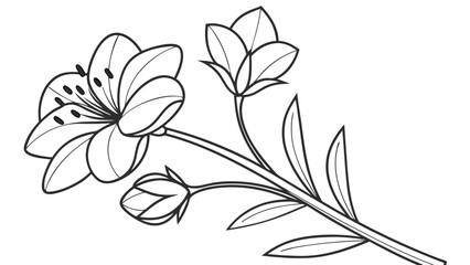 Elegant Line Art of a Blooming Flower with Buds and Leaves, Ideal for Coloring Books and Botanical Illustrations