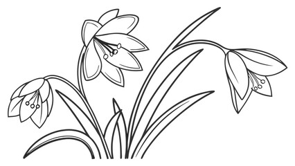 Graceful Bell Flowers Line Art Illustration for Coloring and Botanical Designs, Detailed Floral Outline Drawing