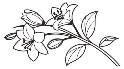 Elegant Black and White Line Art of Delicate Flowers and Buds for Botanical Design