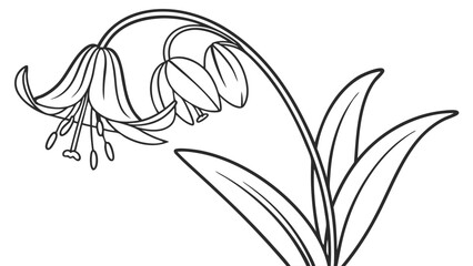 Obraz premium Bell Flower Line Art Illustration. Botanical Outline Drawing with Leaves for Coloring Books and Nature-Inspired Designs.