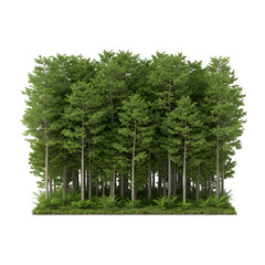 Obraz premium Realistic Forest Illustration With Green Trees On Transparent Background
