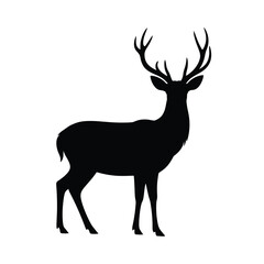 Obraz premium Silhouette of a majestic stag with large antlers standing against a white background