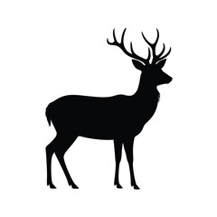 Majestic stag silhouette standing proudly against white background