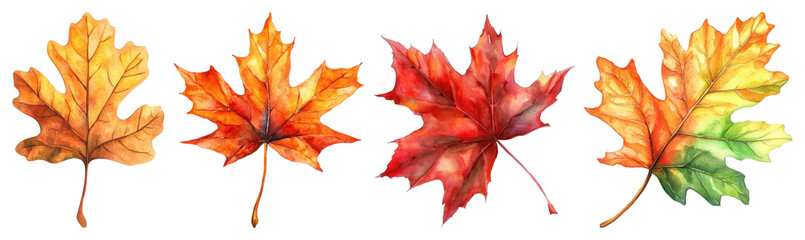PNG Vibrant watercolor autumn leaves illustration, element set on transparent background