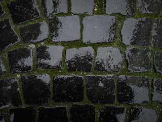 Wet cobblestone road with dark stones and green moss