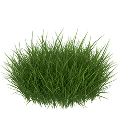 Realistic 3D Rendered Green Grass Isolated on a Transparent Background