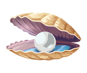 An Open Seashell In Brown And Purple With A White Pearl