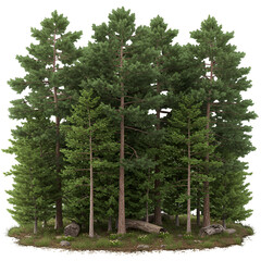 Realistic Forest Illustration with Green Pine Trees and Transparent Background