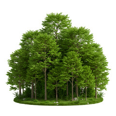 Obraz premium Realistic 3D Render of a Green Forest Cluster Isolated on Transparent Background