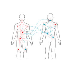 Understanding interconnected biological systems and their complex communication networks