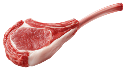 Raw isolated tomahawk steak on transparent background with fresh red meat and bone