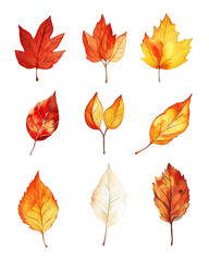 Highly detailed illustrations of various trees, leaves, grasses, and botanical elements, featuring realistic, minimalist, and abstract compositions on a white background.