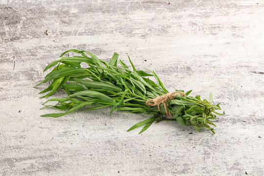 Green estragon branches for cooking