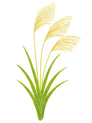 シンプルなススキ