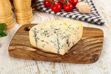 Gourmet blue cheese with mold