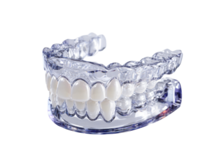 Transparent dental model showing perfect teeth alignment, Isolated On White Background, Png Transparent
