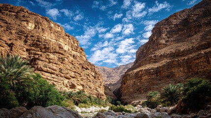 Desert canyon with lush vegetation
