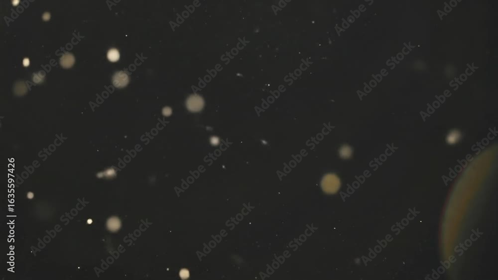 Poster abstract dark background with golden bokeh light particles floating and blurry effect creating dream