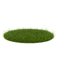 Realistic Photo Of Green Grass In A Circular Shape Isolated On White