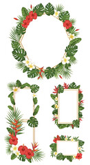 Tropical Floral Frames Illustration with Green Leaves Red Hibiscus and White Background