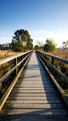 Wooden boardwalk extending into a sunlit meadow