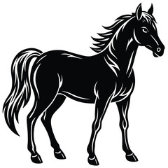 Obraz premium Horse Silhouette