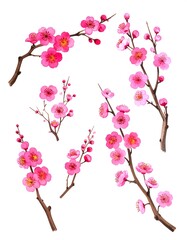Fototapeta premium Pink blossoms on branches