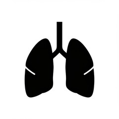 Silhouette of lungs anatomy icon on white background