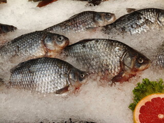 fresh fish on ice