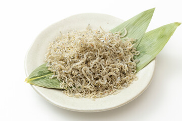 皿に盛られたちりめんじゃこ　白バック