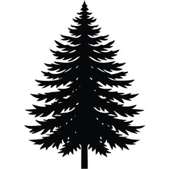 Obraz premium Pine Tree Silhouette
