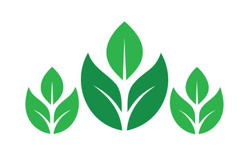 Three stylized green leaf icons on a clean white background