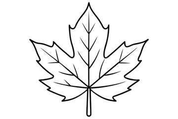 Minimalist line drawing of a single maple leaf in black and white
