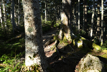 Climbing  Mount Senjogatake Yamanashi, Japan