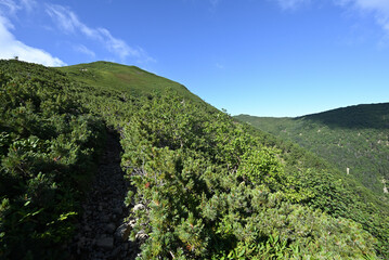 Climbing  Mount Senjogatake Yamanashi, Japan