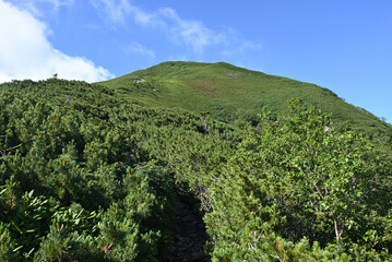 Climbing  Mount Senjogatake Yamanashi, Japan