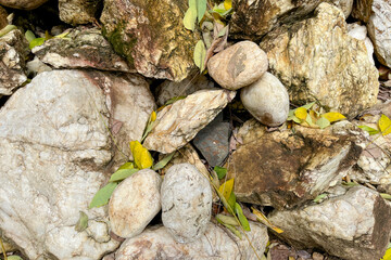stone wall with moss