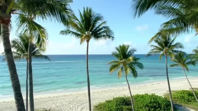 Serene beach landscape with palm trees swaying gently in the breeze under a clear blue sky