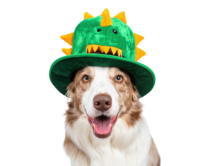 A cheerful dog wearing a green dinosaur-themed hat with yellow spikes, showcasing an adorable and playful expression.
